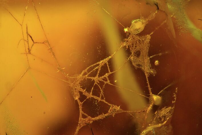 Fossil Spider Web In Baltic Amber - Rare! #69268